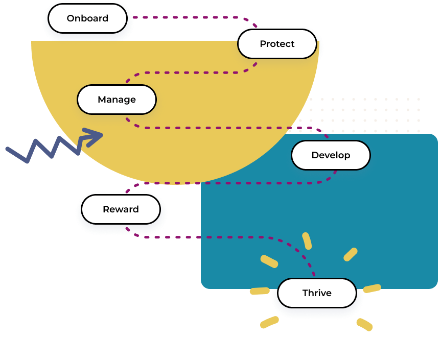 One HRIS system for employees